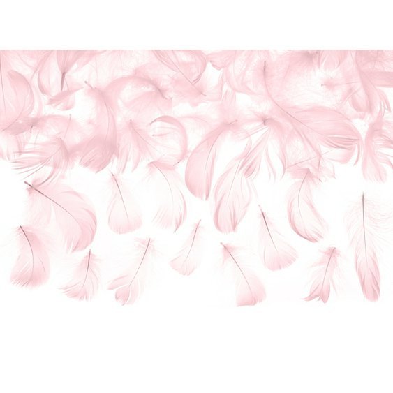 {612F7D1C-D819-47E5-9D4C-EE3B5C29B983}_V.jpg